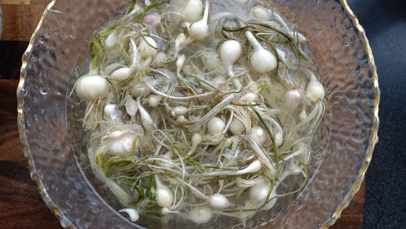 Spicy Mix Small root garlic - super spicy rice side dish recipe steps: 5